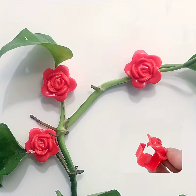 Clips de fixation murale pour plantes grimpantes