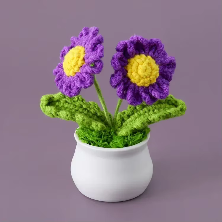 Mignon marguerite Crochet fleurs en pot tissé fleur créative