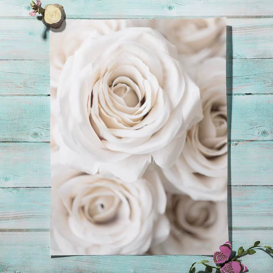 Impression sur toile d'art mural minimaliste avec des fleurs blanches de pissenlit