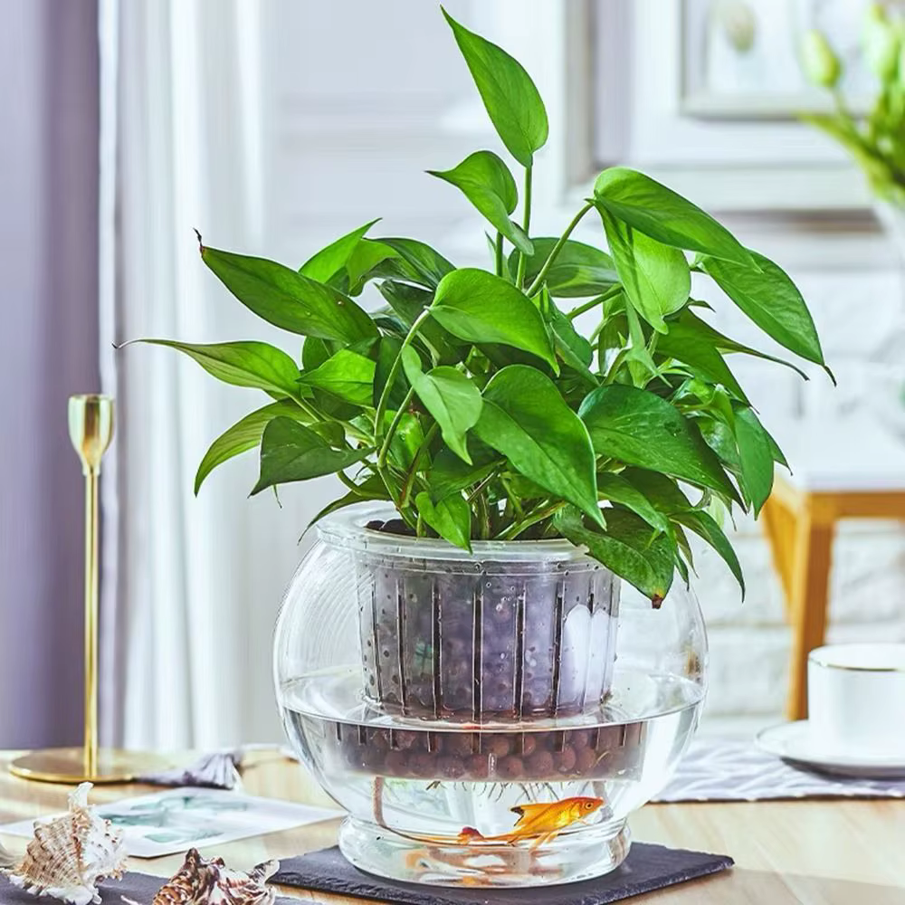 Nouveau pot de fleurs auto-arrosant pour plantes paresseuses