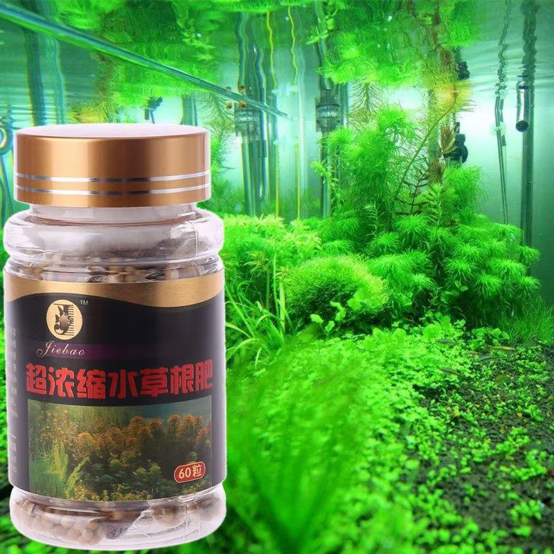 60 PCS CAPSULES RACHES PLANTES