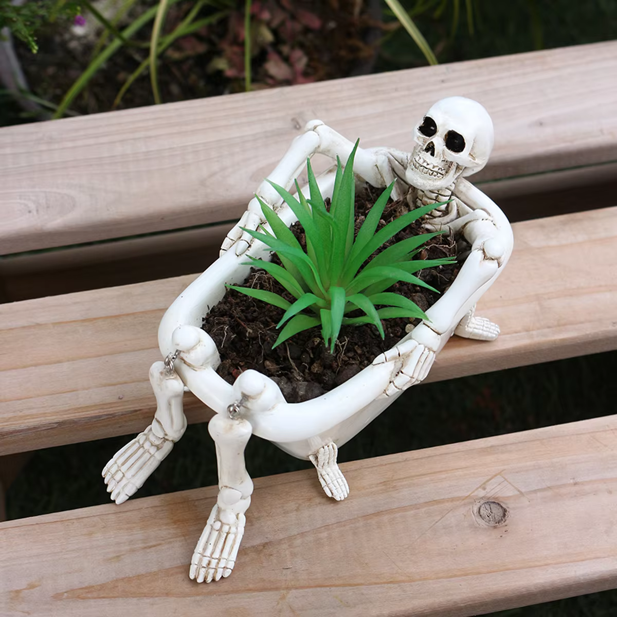 Pot de fleurs créatif en forme de crâne pour plantes succulentes