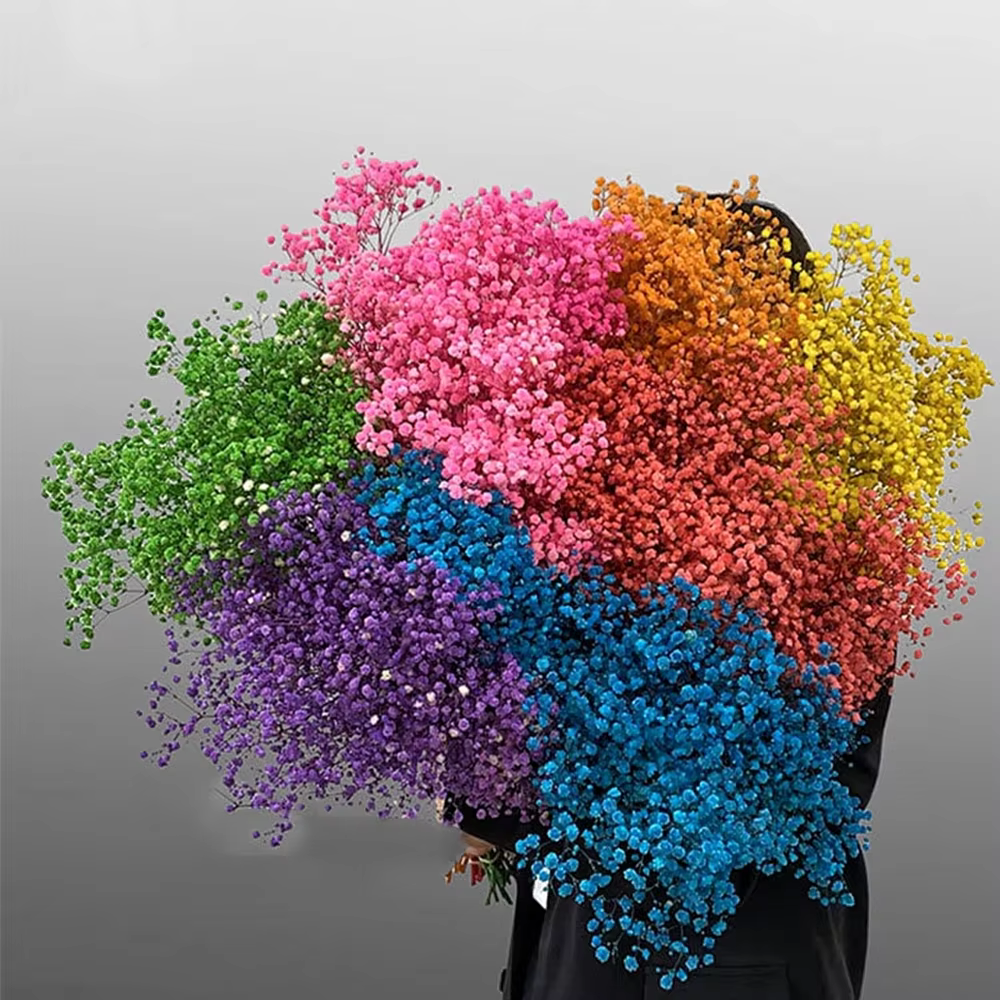 Fleurs séchées naturelles et préservées