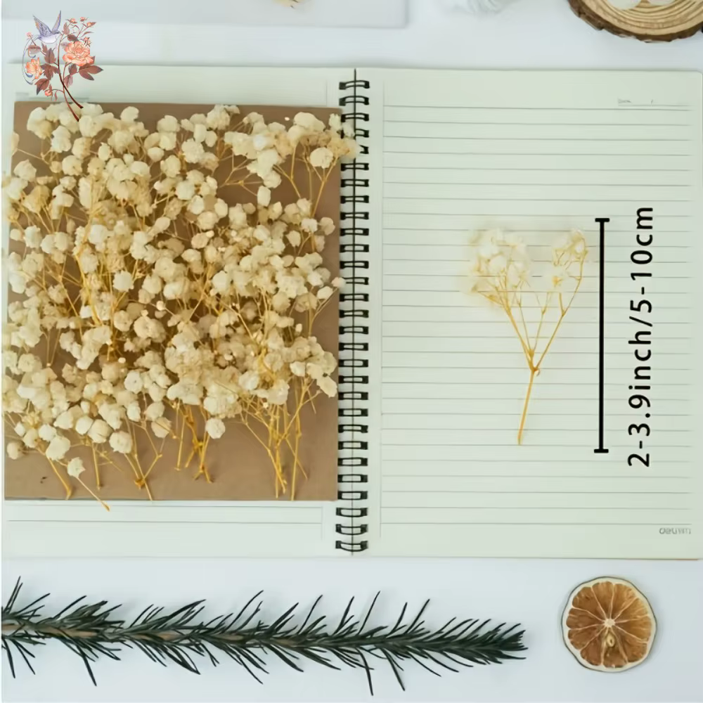 100 pièces Mini fleurs souffle de bébé séchées pour artisanat en résine bricolage décor de mariage à la maison vraie touche gypsophile petit paquet embellir cadeau