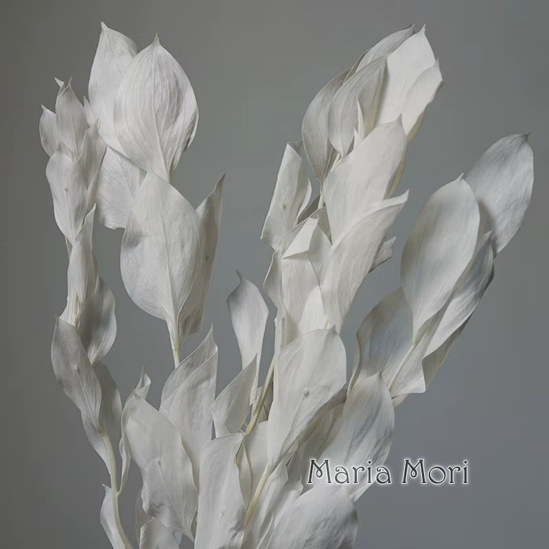 5 pièces/fleur conservée de blanchiment séché feuilles d'orange lys bambou pour arrangement floral fait à la main bureau maison décoration de mariage