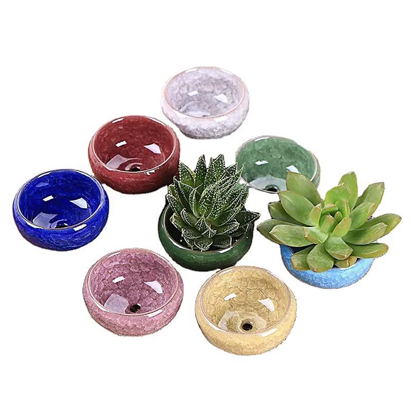 Jardinière succulente en céramique de fleur de glaçure de craquel de glace mignonne Mini Pot de plante Pot
