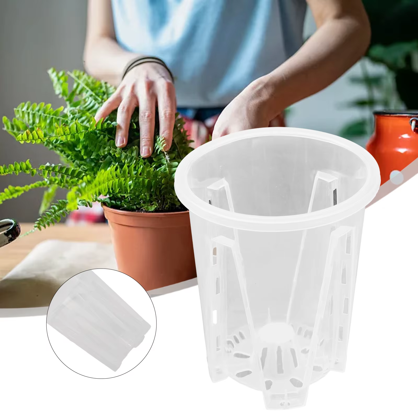 Pots d'orchidées en plastique Transparent