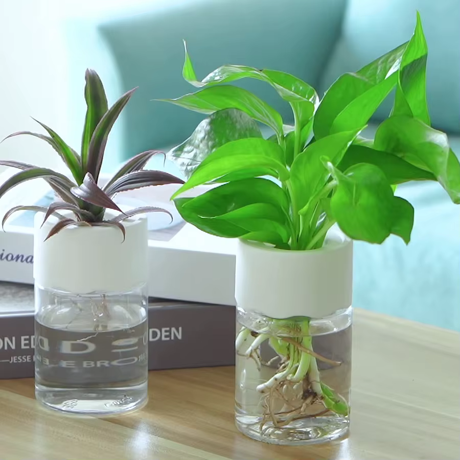 Kit de Pots hydroponiques pour pépinière