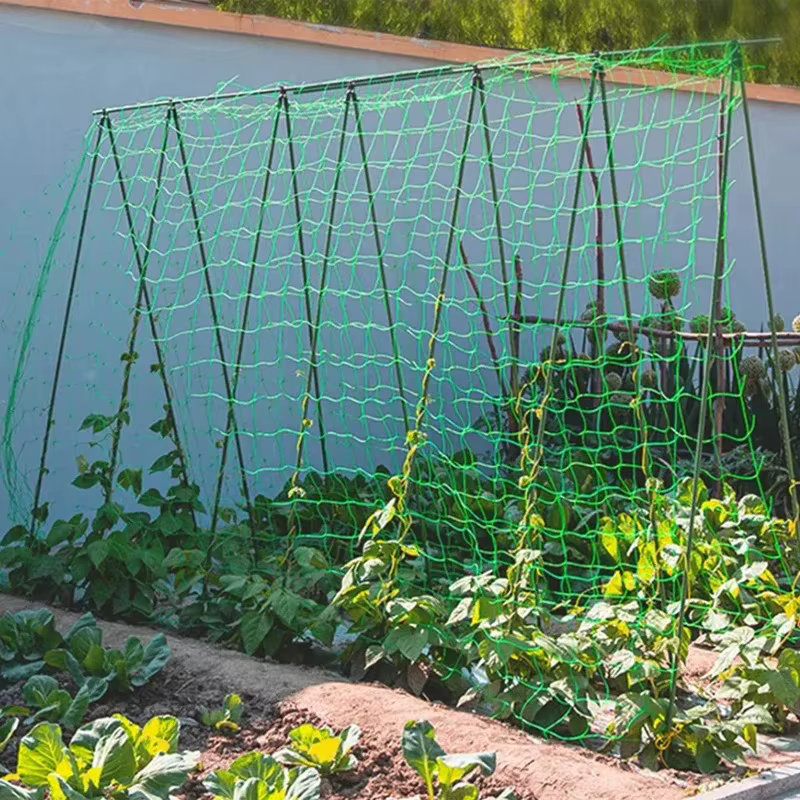 Filet d'escalade pour plantes