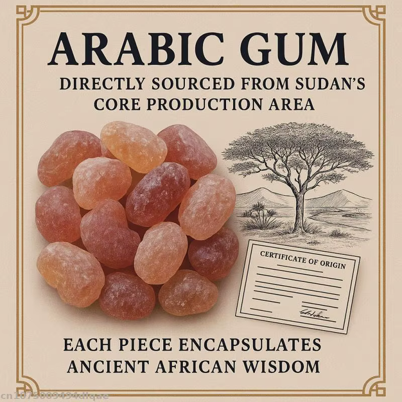 Acacia naturel sénégal