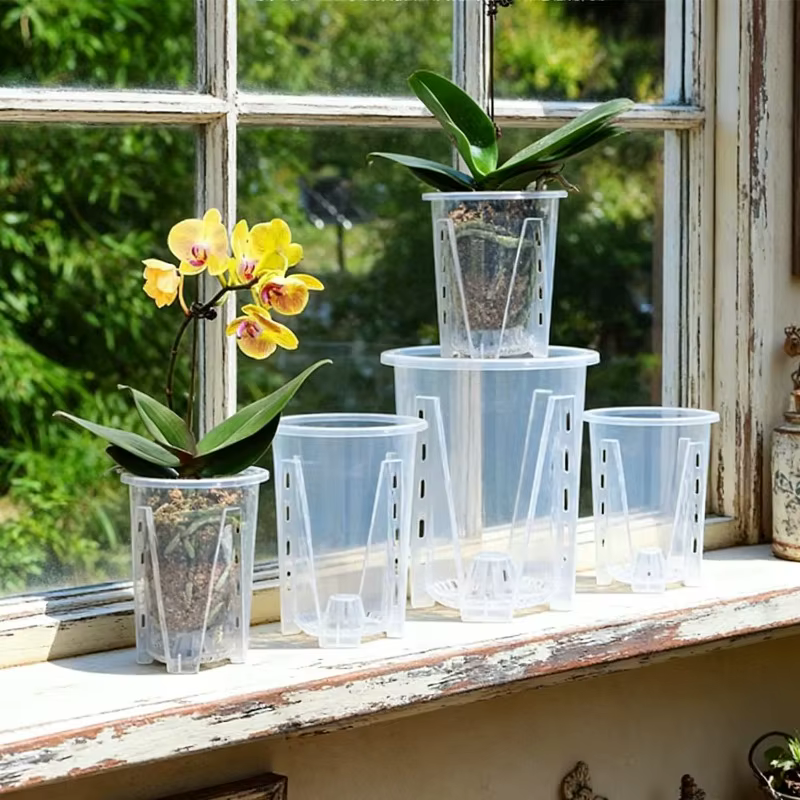 Pots d'orchidées transparents avec trous