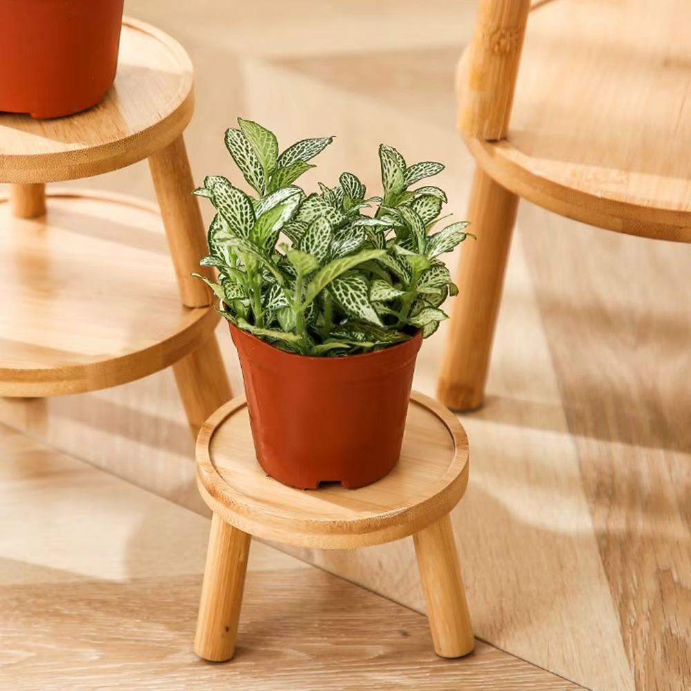 Plateau de pot de fleurs rond en bois