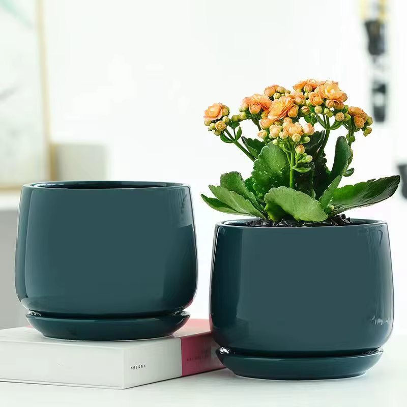 Pot de fleurs créatif en céramique