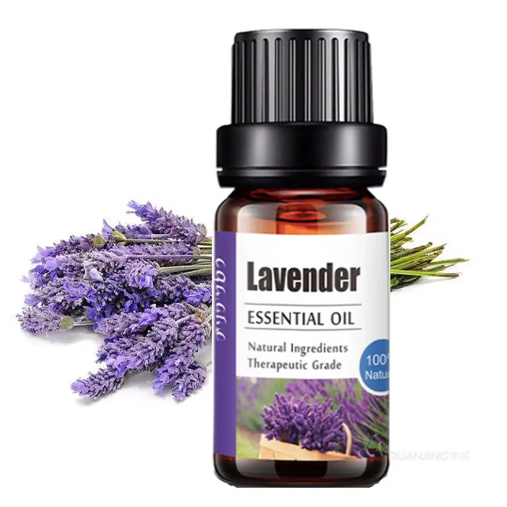 ERBOLO 10ml huile essentielle végétale Pure pour humidificateur diffuseurs menthe lavande arbre à thé vanille bois de