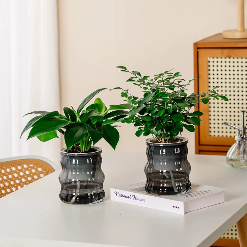 Pot de plantes hydroponiques auto-arrosage créatif