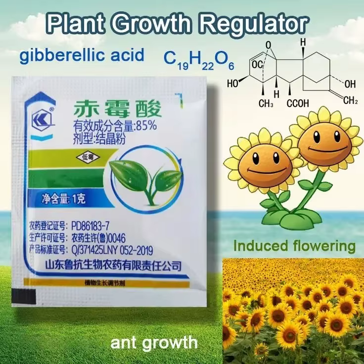 Régulateur de croissance des plantes, 2 sacs, concentré d'acide gibberellique 920, pour pause du sommeil, engrais, augmente la Production pour la maison, le jardin, bonsaï