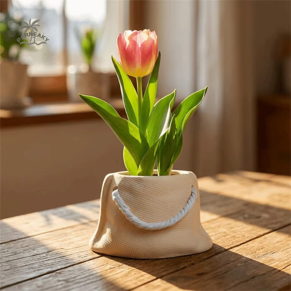 Pot de fleurs en céramique unique pour plantes succulentes