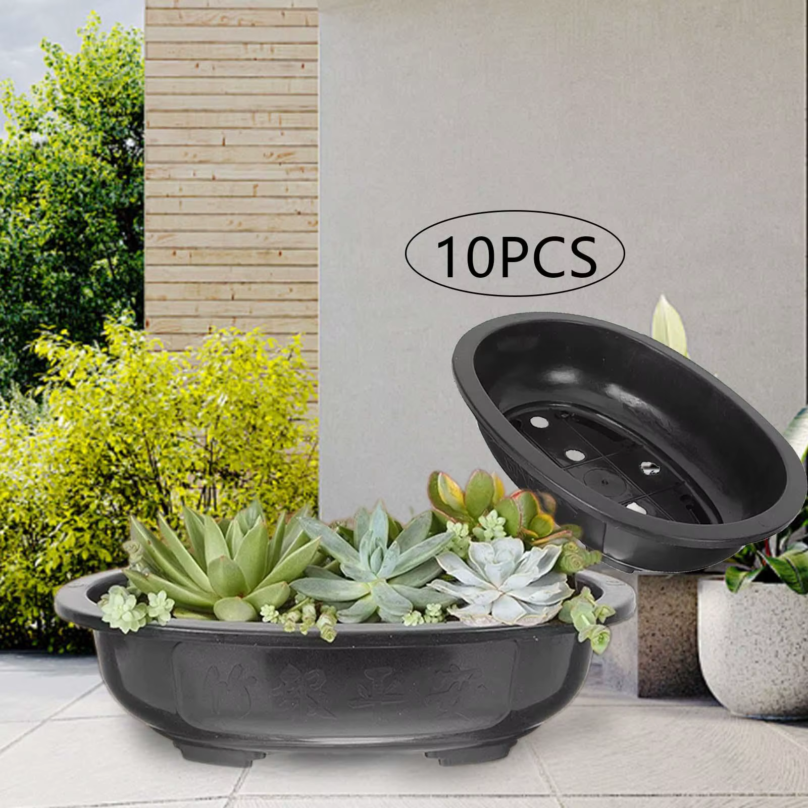 10 pièces Pots d'entraînement de bonsaï Pot de jardinière