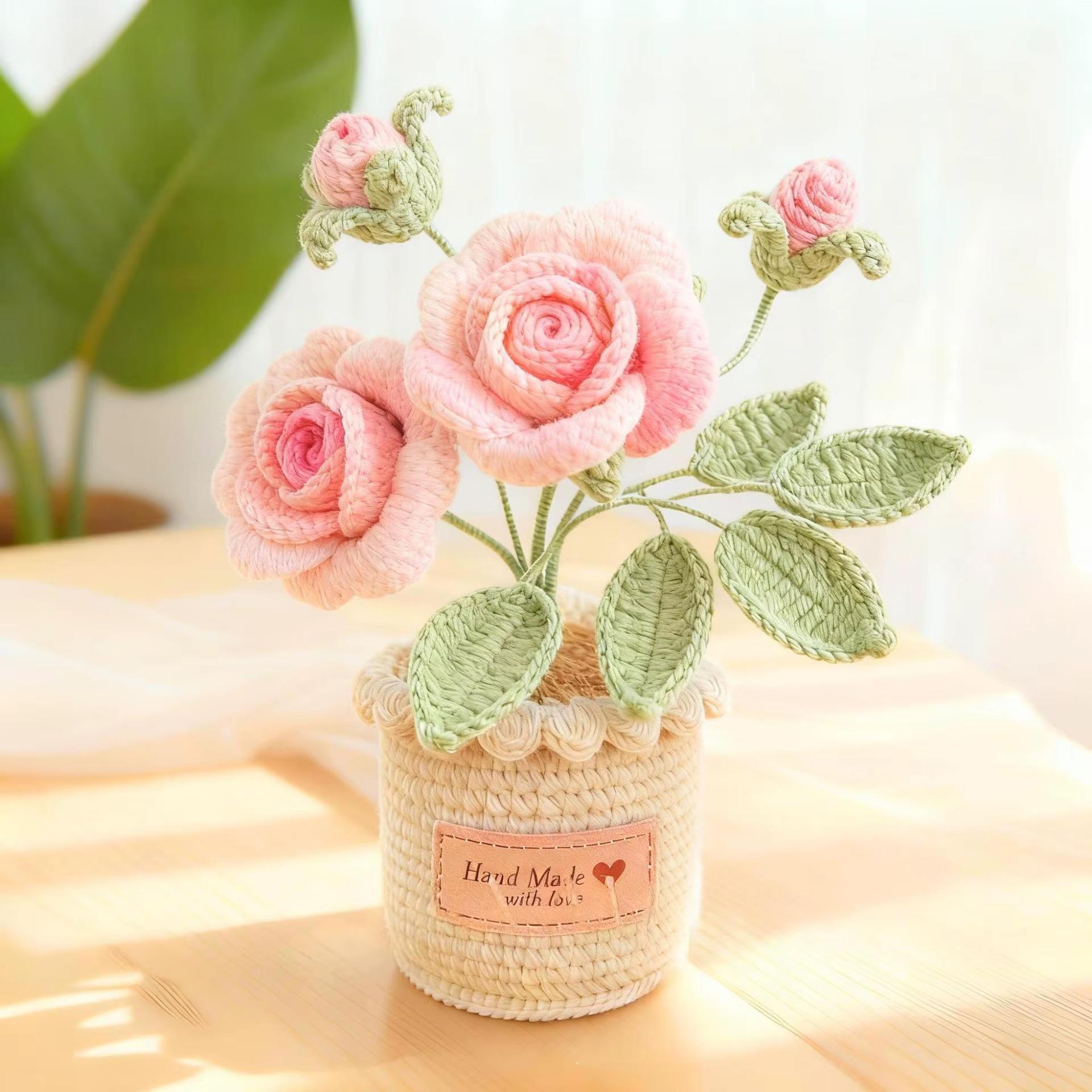 Plante en pot en laine