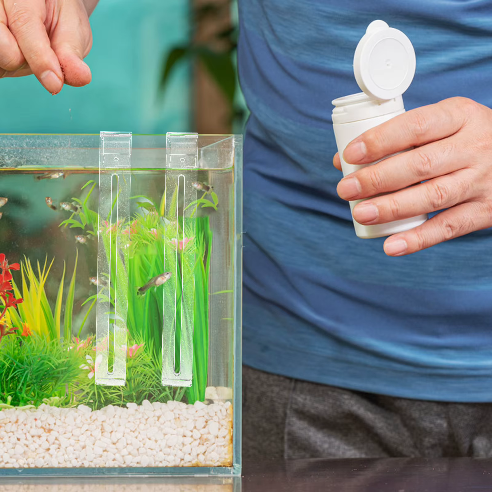 Crochets d'aquarium transparents réglables, plate-forme de se prélasser polyvalente pour tortues, ensemble d'accessoires pour Aquarium Tropical, 2 pièces