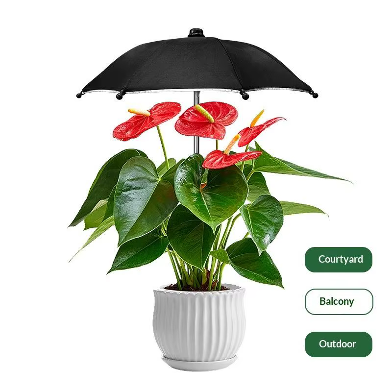 Nouvelle promotion : Parasols de jardin ronds réglables en hauteur