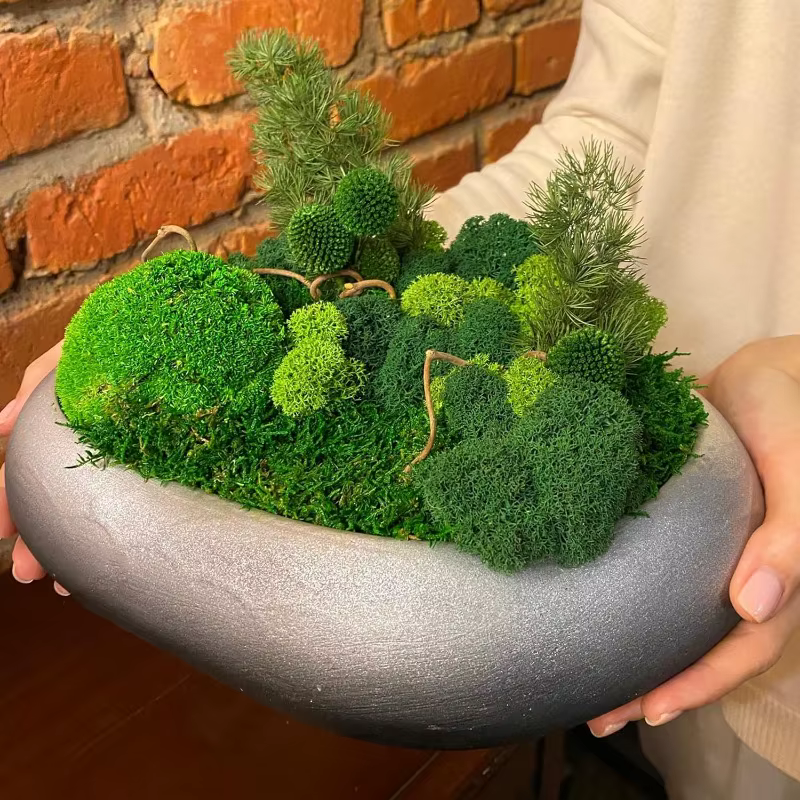 Plantes vertes artificielles
