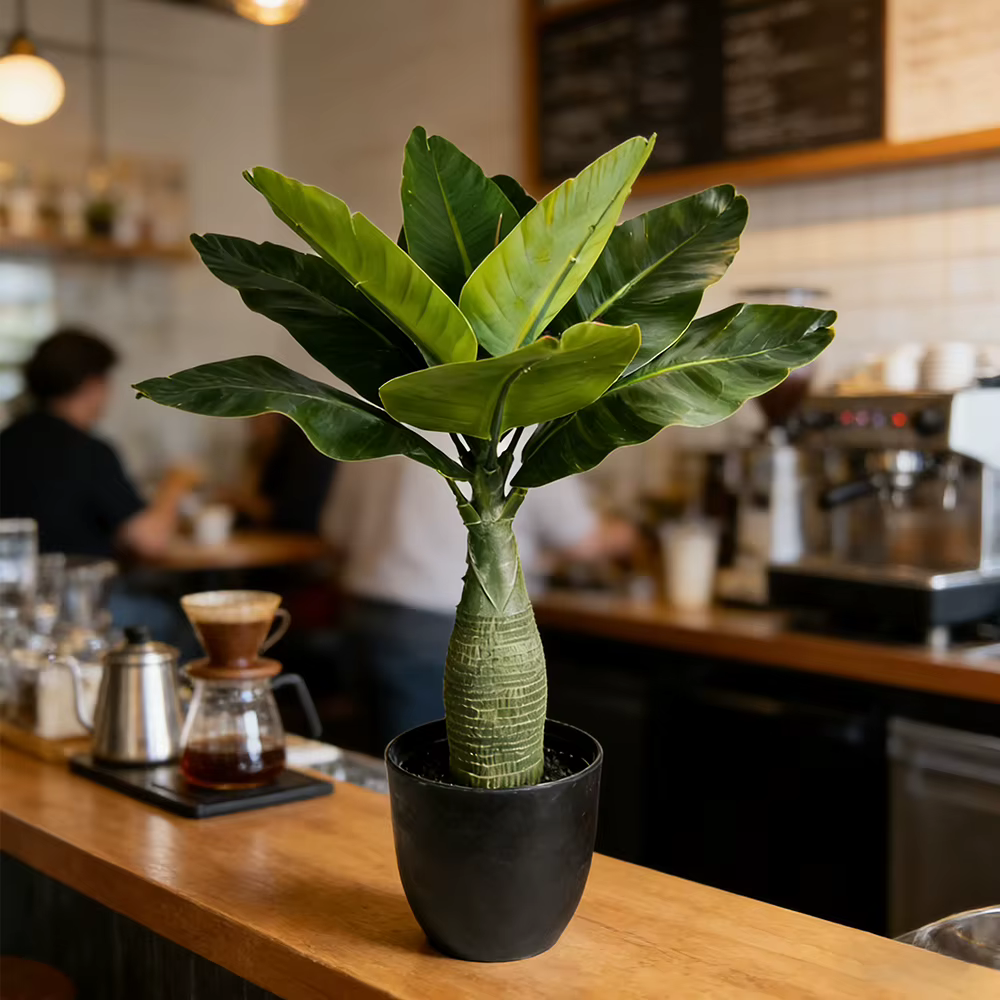 Faux bananier de 37/40 cm