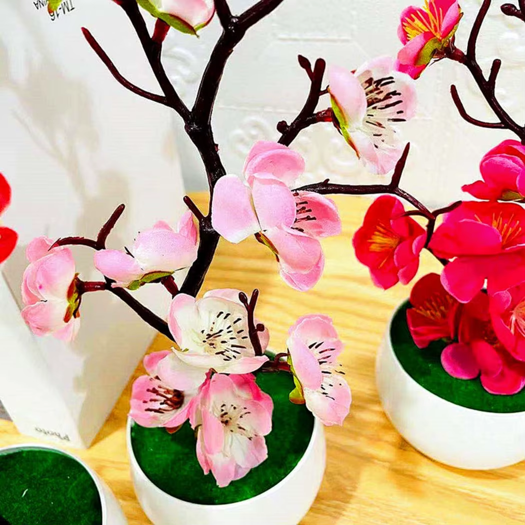 Plante en pot de fleur de prunier à usage intérieur et extérieur