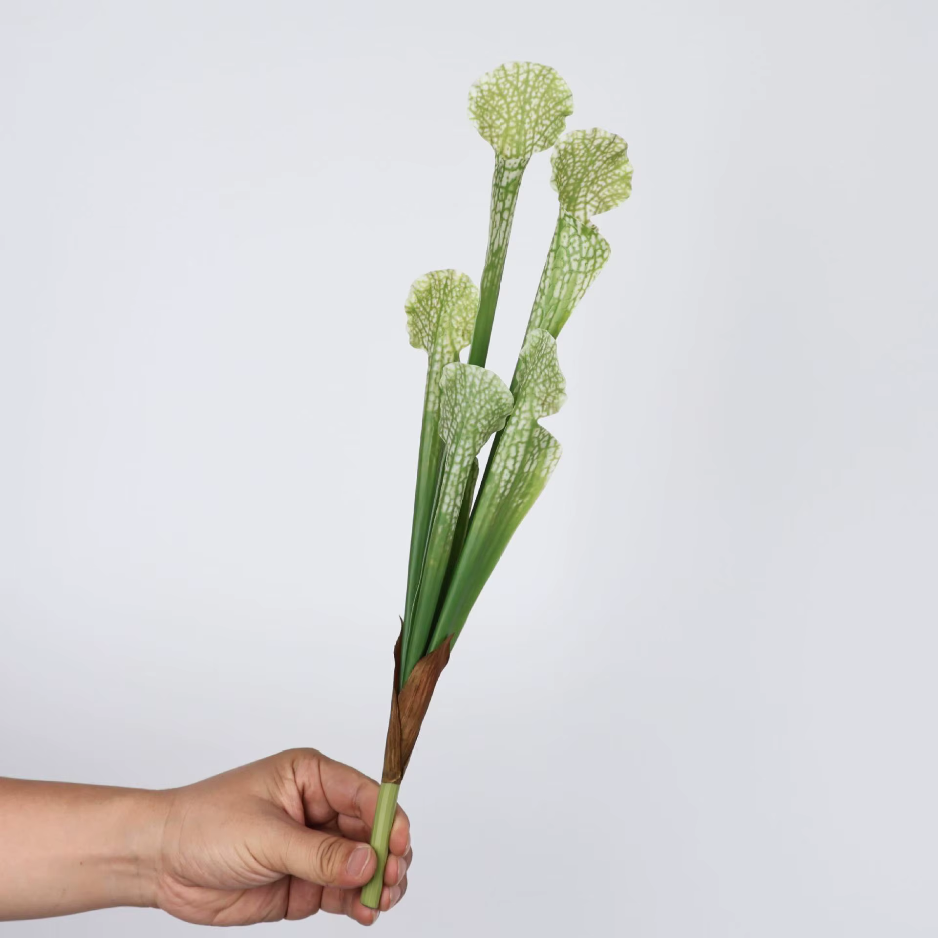 Brosse à bouteille artificielle de 17 pouces