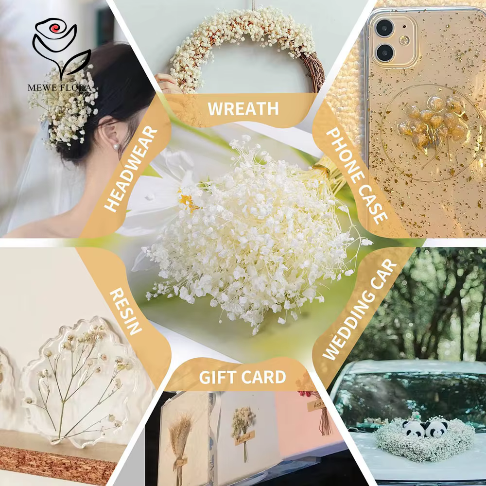 Lot de 50 mini-bouquets de fleurs séchées Gypsophile blanches