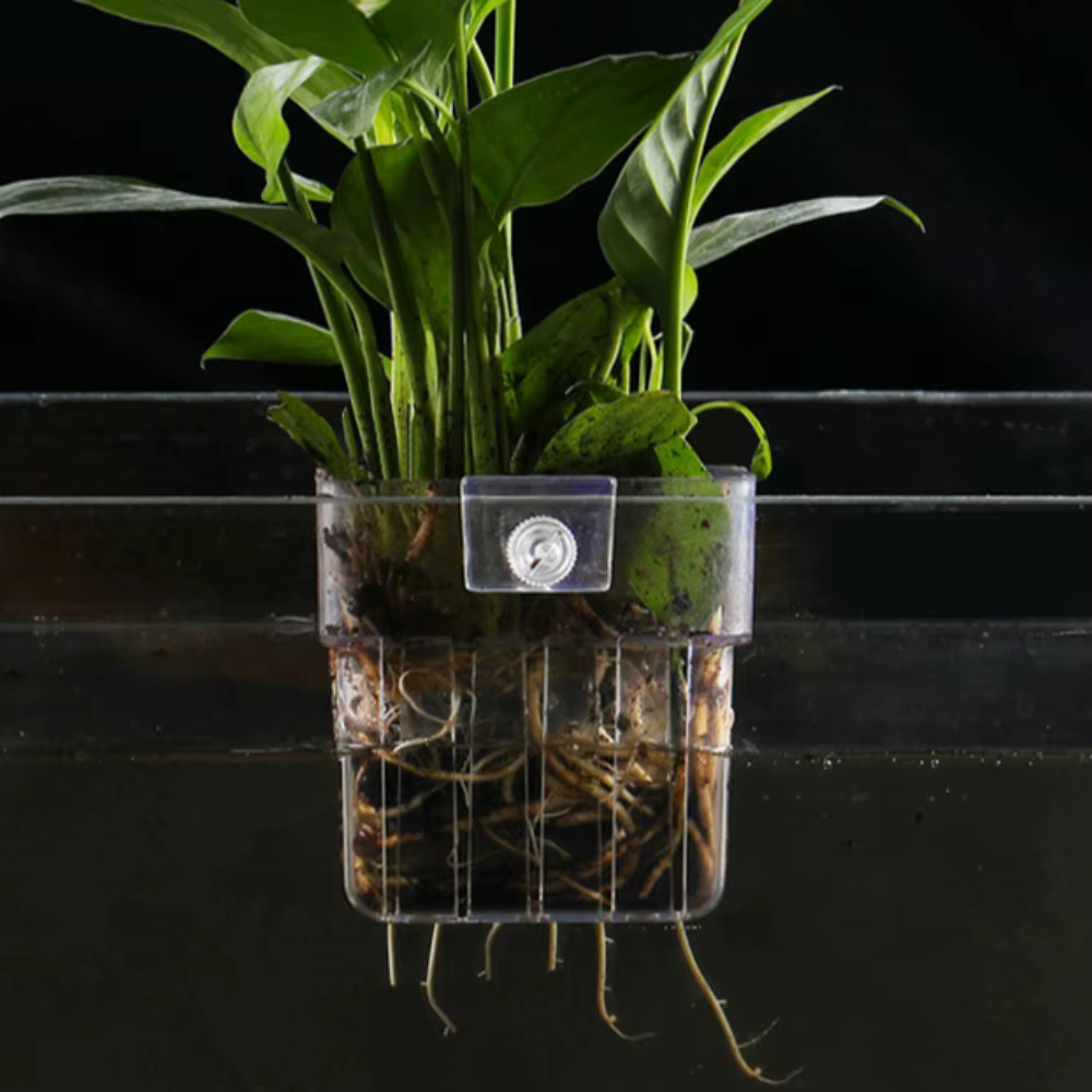 Panier de plantation hydroponique pour Aquarium de poissons