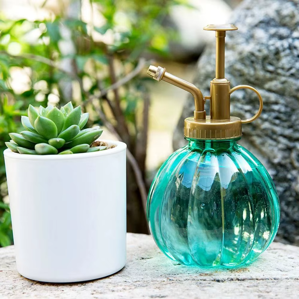 1 pulvérisateur d'eau pour plantes de 300 ml