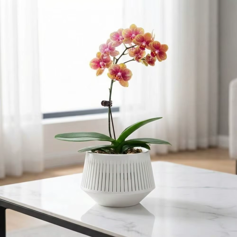 Pot de culture en maille à compartiments pour orchidées
