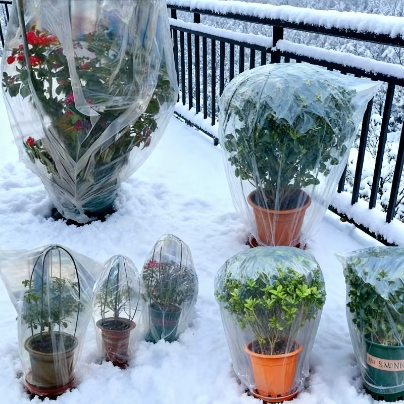 Couvertures de plantes d'hiver