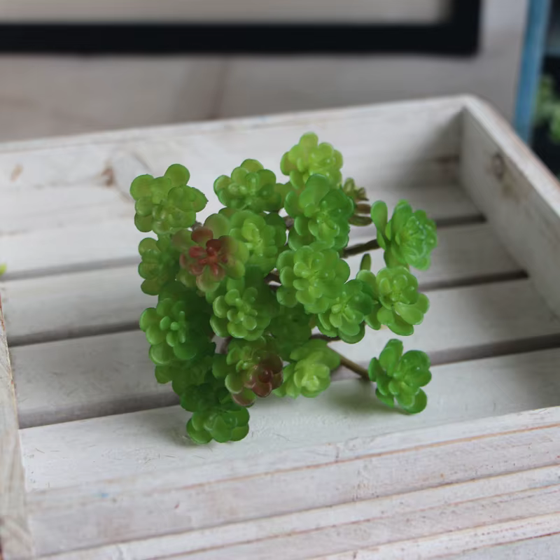 Plante succulente artificielle simulée