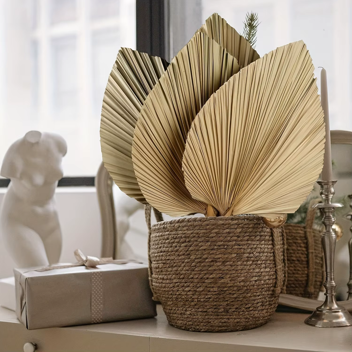 3 feuilles de palmier séchées naturelles