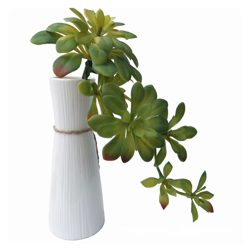 Plantes succulentes artificielles vertes et rouges