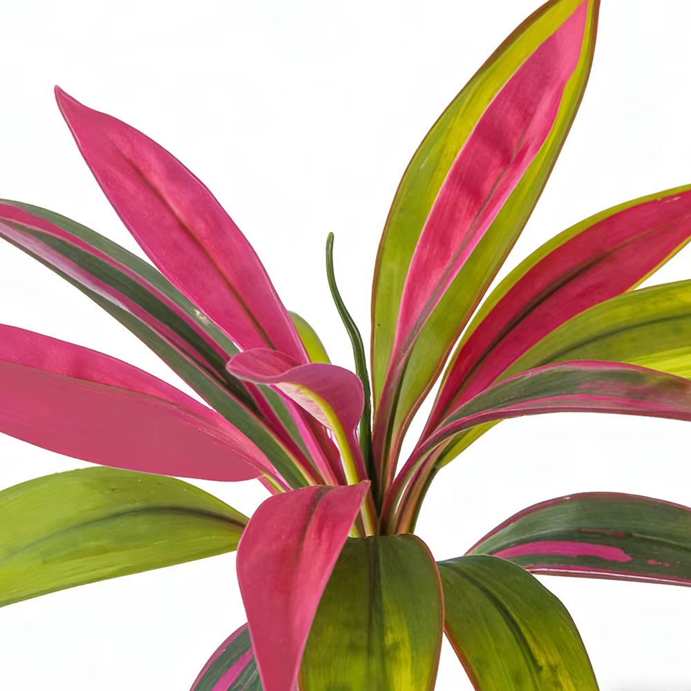 Plantes artificielles Dracaena de 45 cm à 17 feuilles