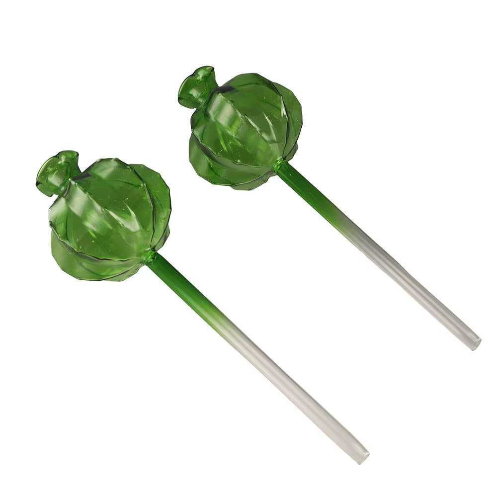Cactus Cactus – Bulbes d'arrosage automatiques en verre pour plantes