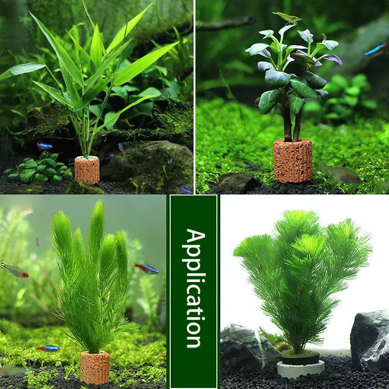 Bassin de Plantation de Base avec Anneau en Céramique pour Plantes d'Eau Précieuse