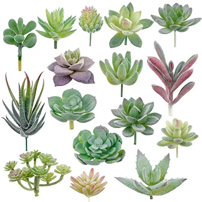 Plantes succulentes en PVC