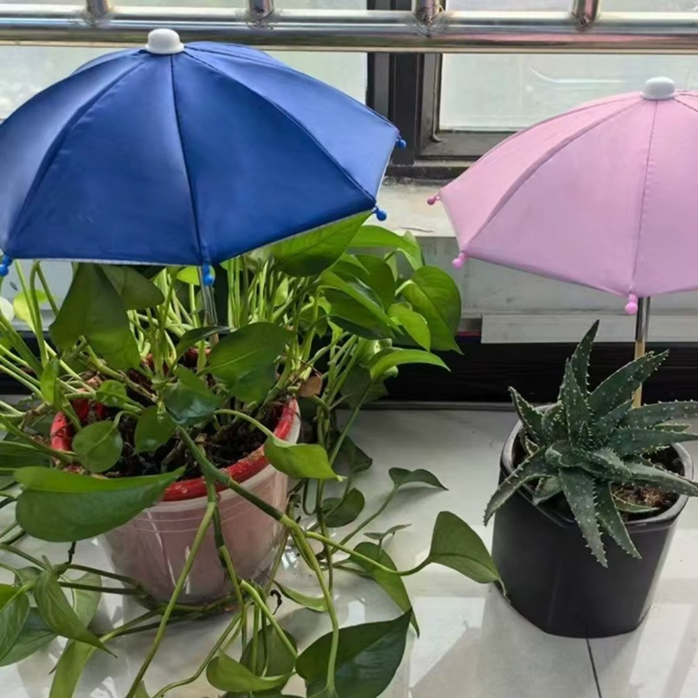 Parasol amovible pour plantes