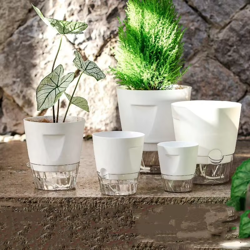 Nouveaux pots auto-arrosants pour plantes d'intérieur