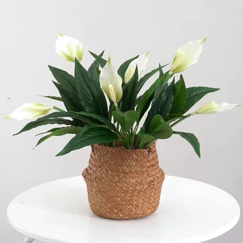 Yannew 4 pièces fleurs artificielles Spathiphyllum pour l'extérieur plantes en soie résistantes aux UV verdure bonsaï jardin porche décoration de la maison