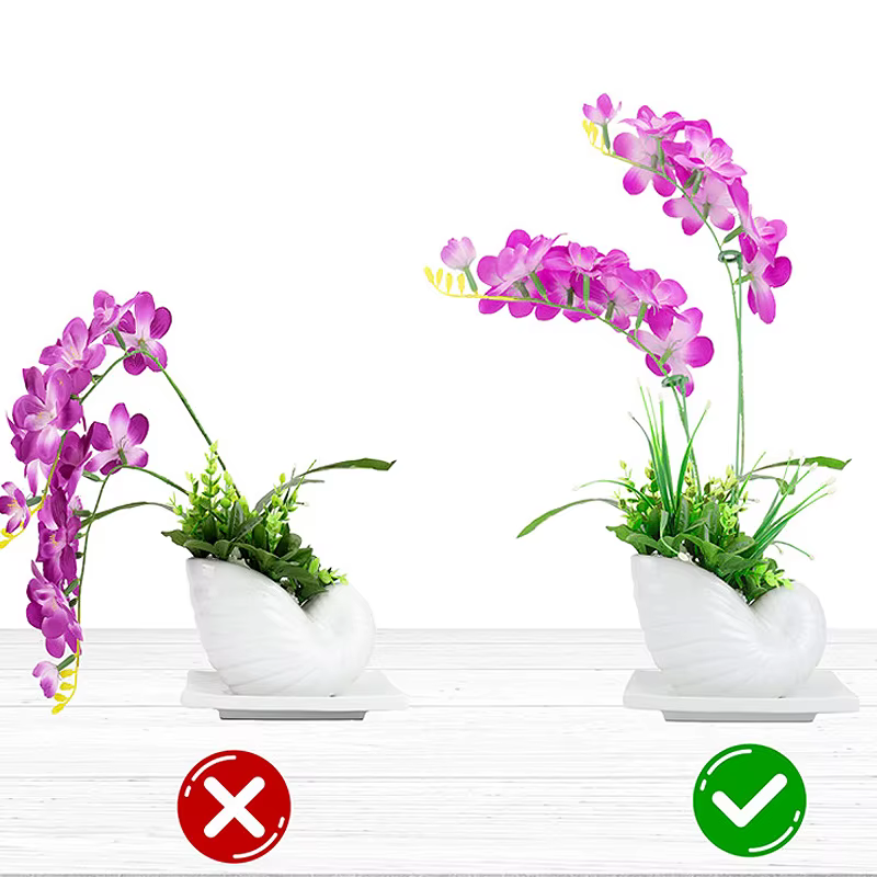 Tiges de Support pour plantes en plastique