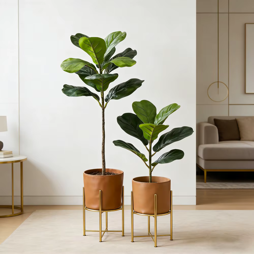 Plantes artificielles Ficus 38/70 cm