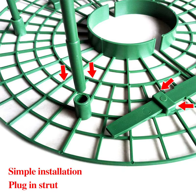 Supports de fraises pour conserver les plantes et les fruits