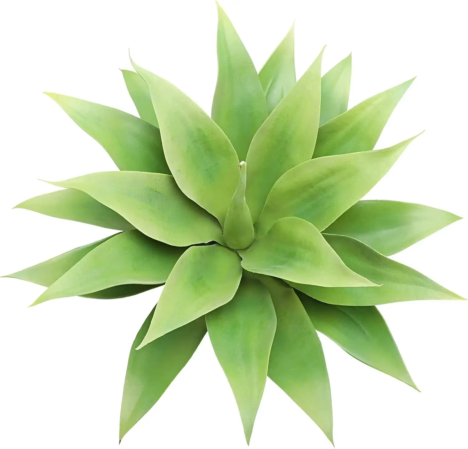 Plante succulente d'agave artificielle 18 amaran