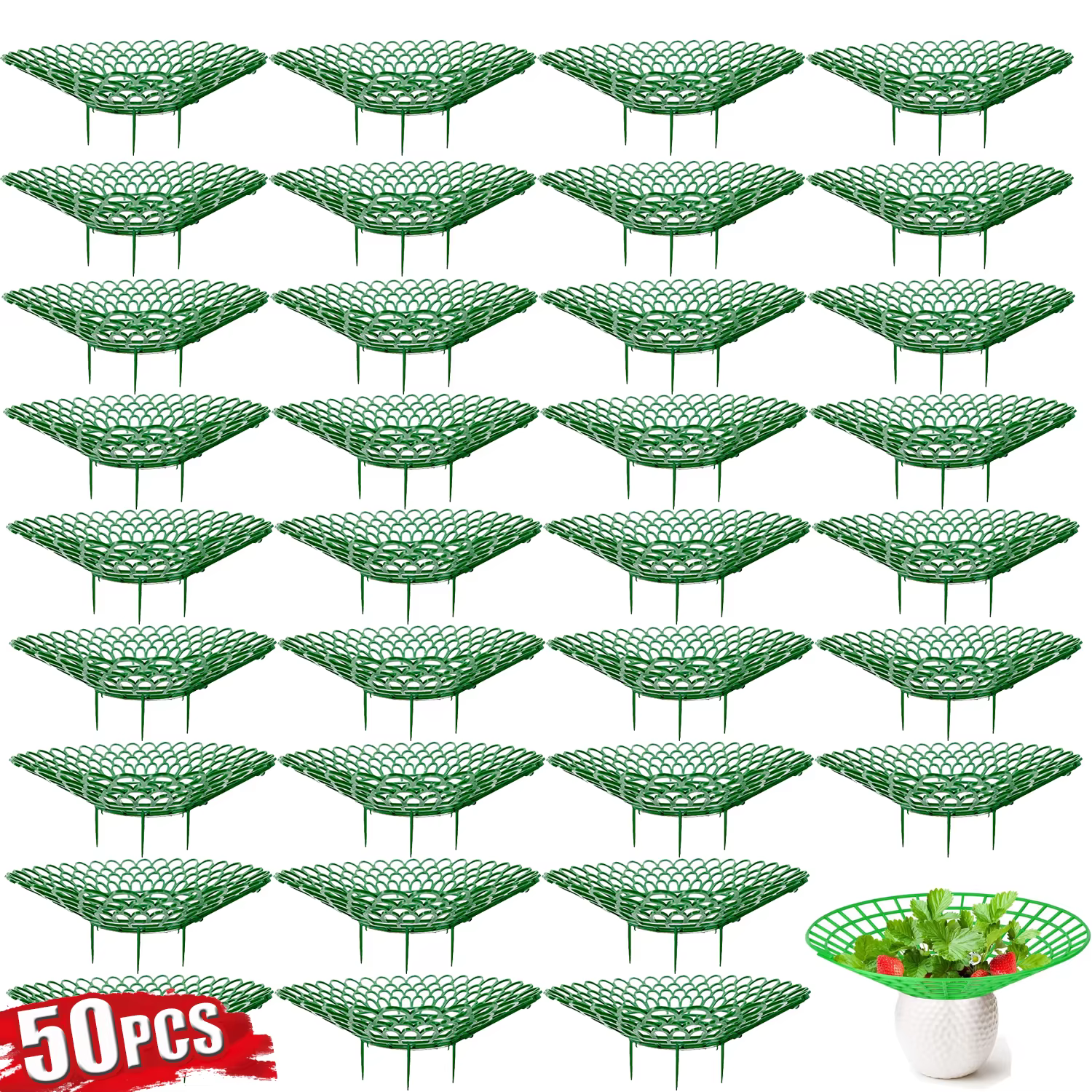Supports pour plantes à fraises