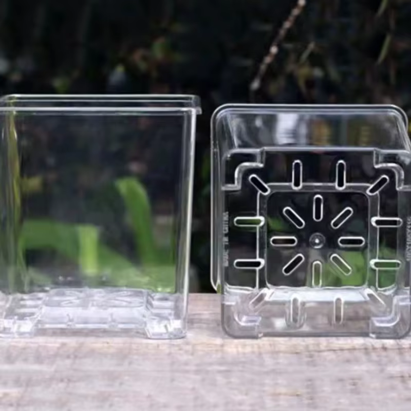 Pot de fleur Transparent